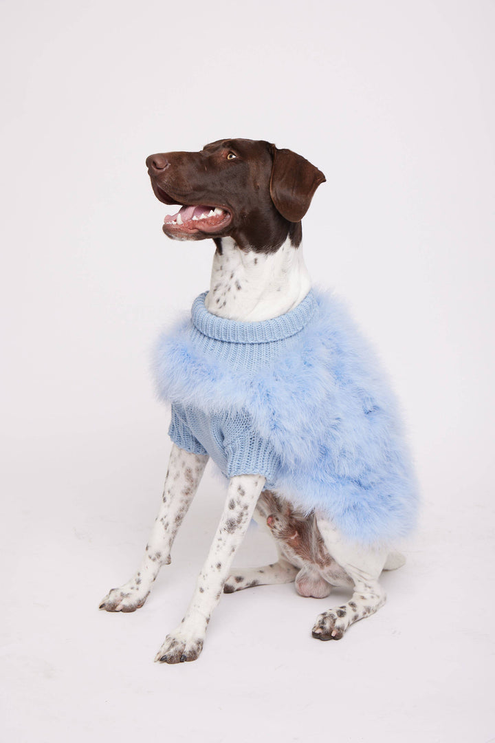 maxbone - Christian Cowan x maxbone Jumper for Dogs: Medium / Light Blue