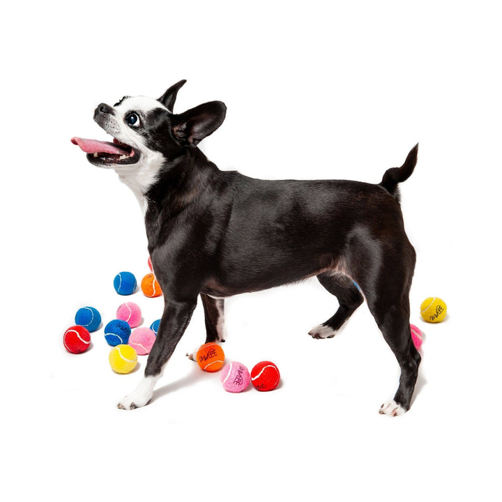 Midlee Designs - Midlee Mini Dog Tennis Balls Bulk 25-Pack (Assorted Colors): Non-Squeaky