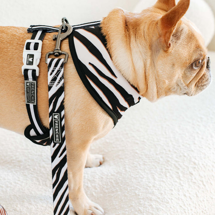 Frenchie - Frenchie Duo Reversible Harness - Zebra: Xsmall