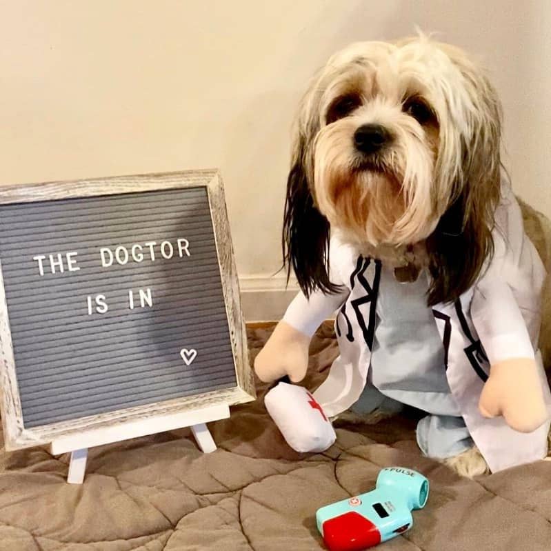 Show & Tail - Pet Apparel - The Dogtor: XS
