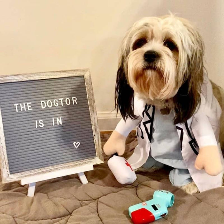 Show & Tail - Pet Apparel - The Dogtor: XS
