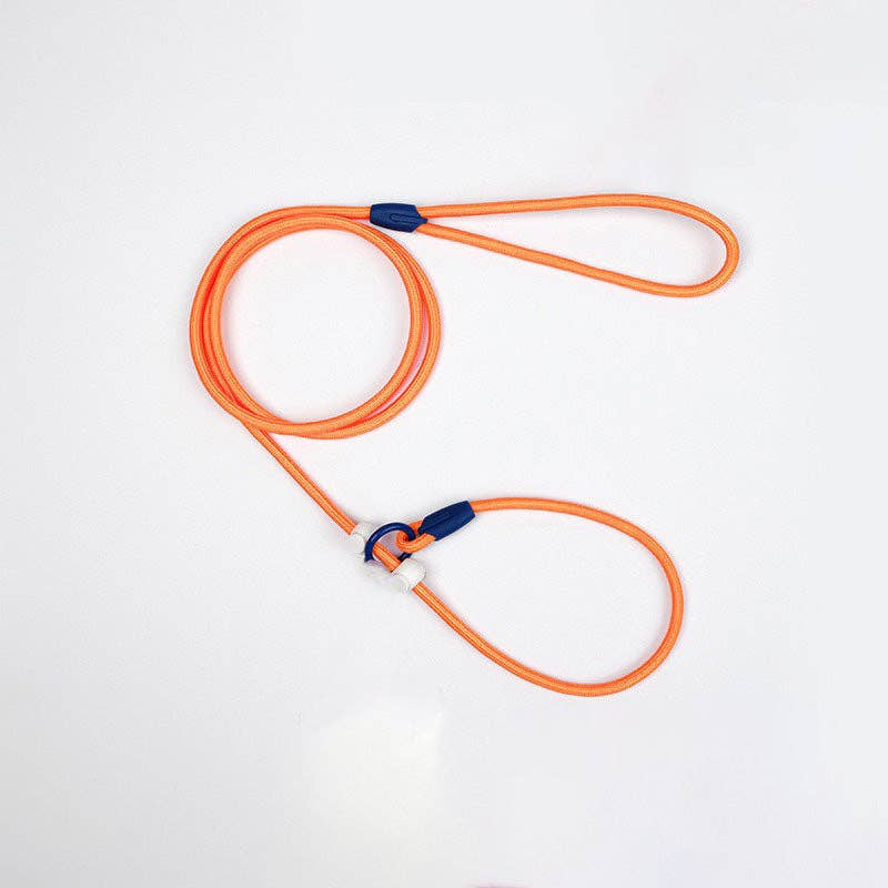 Cheerhunting - Loofie - Lightweight Nylon Dog Leash: Blue
