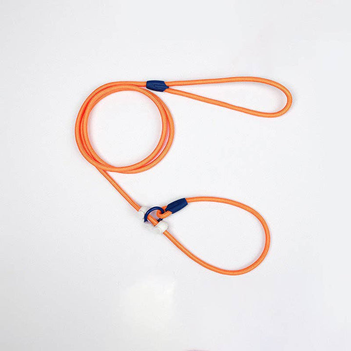 Cheerhunting - Loofie - Lightweight Nylon Dog Leash: Blue
