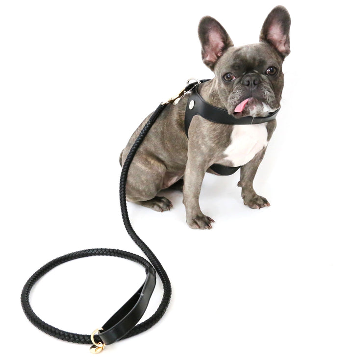 Vanderpump Pets- Black Leather Harness