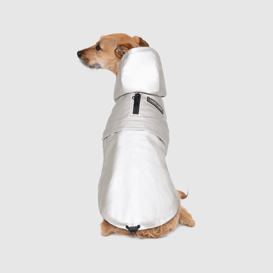 Canada Pooch - Cold Front Raincoat: Orange / 10