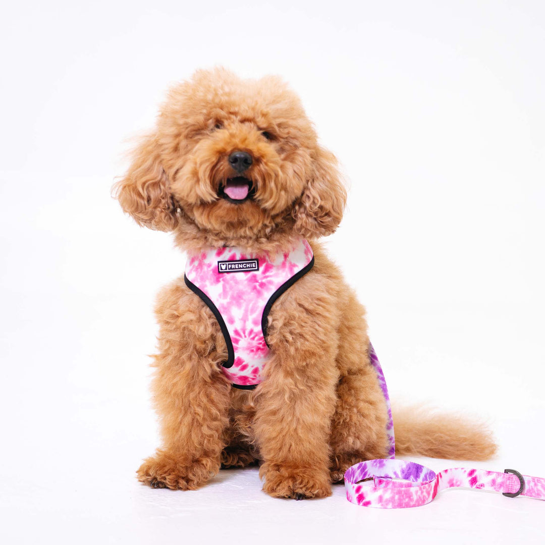 Frenchie - Frenchie Duo Reversible Harness - Pink Tie Dye: XS