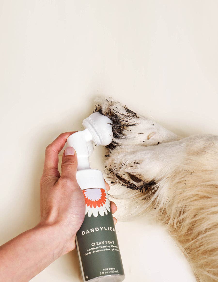Dandylion - Clean Paws No-Rinse Foaming Cleanser