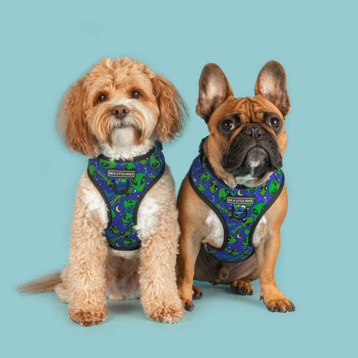 Big and Little Dogs - ADJUSTABLE DOG HARNESS: Alien Invasion