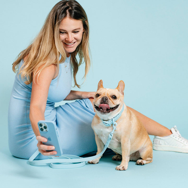 Frenchie - Frenchie Waterproof Collar - Ocean Blue: L