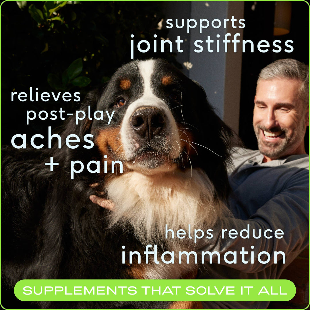 Native Pet - Relief Chews, Hip & Joint Supplement for Dogs: 30ct