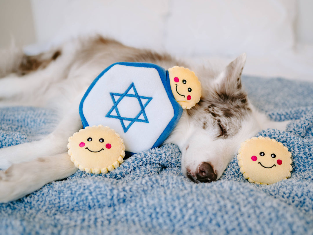 ZippyPaws - Hanukkah Burrow - Star of David - Holiday Dog Toy
