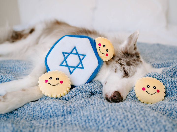 ZippyPaws - Hanukkah Burrow - Star of David - Holiday Dog Toy