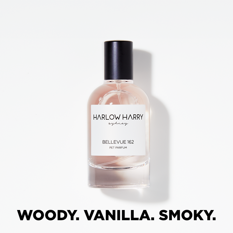 HARLOW HARRY - Dog Perfume | Bellevue 162: 50mL