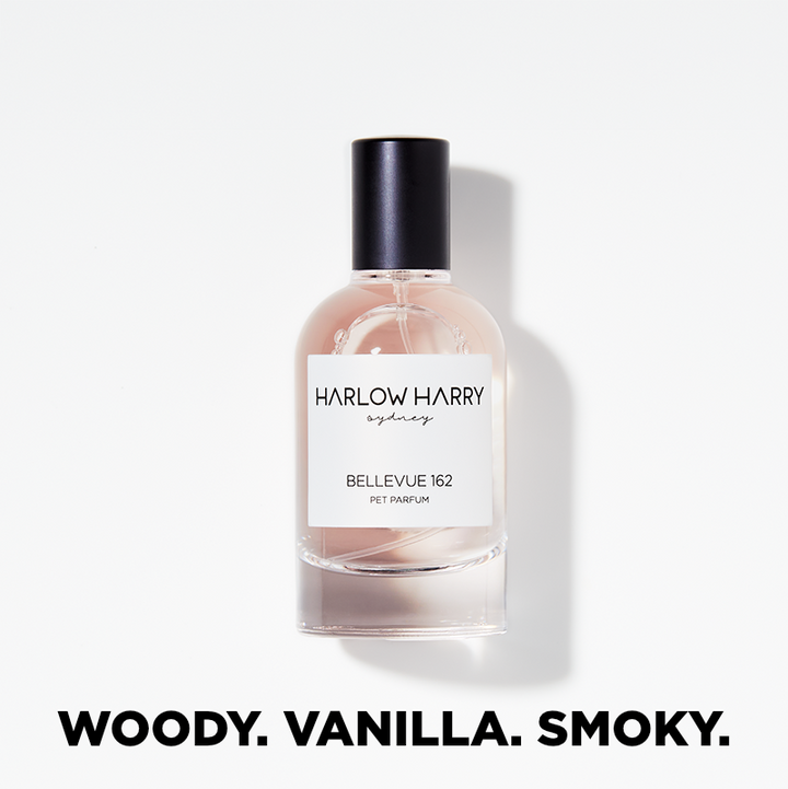 HARLOW HARRY - Dog Perfume | Bellevue 162: 50mL