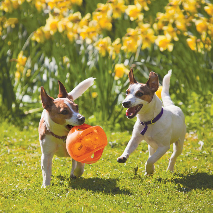 Pet Palette Distribution - KONG® Jumbler™ Ball Dog Enrichment Toy Assorted Medium/Large