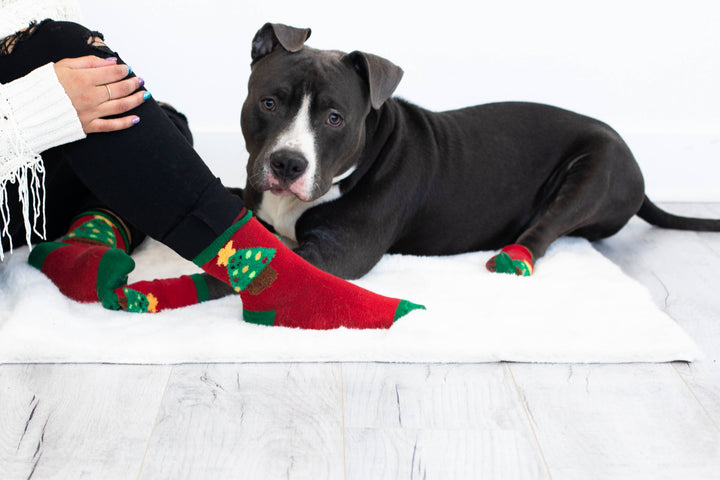 Pet Palette Distribution - Pearhead Holiday Tree Human and Dog Sock Set 2pc
