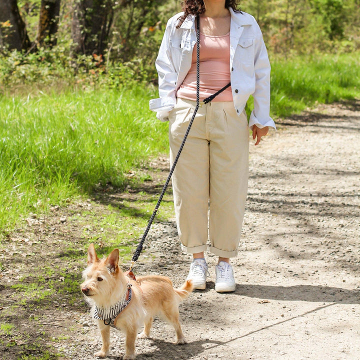 Bop Pop Pets - Onyx Hands-Free Rope Leash