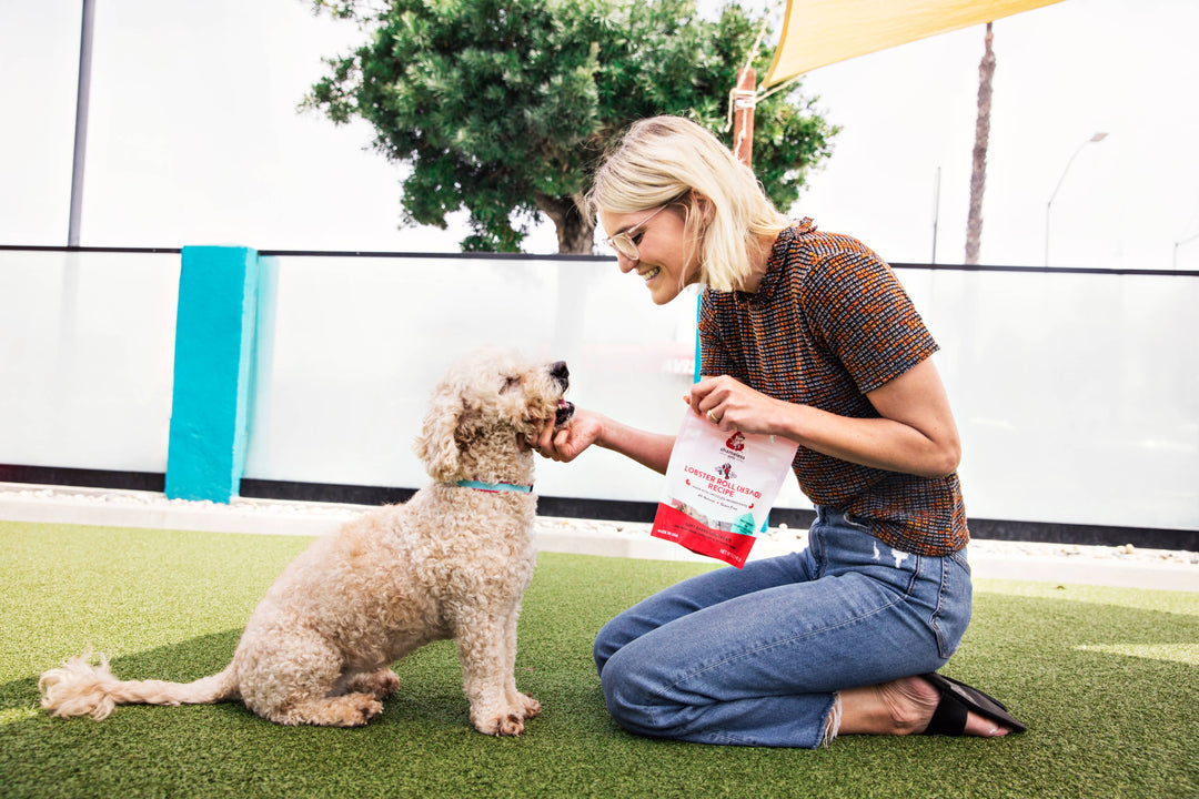 Shameless Pets - Lobster Rollover Soft Baked Dog Treats
