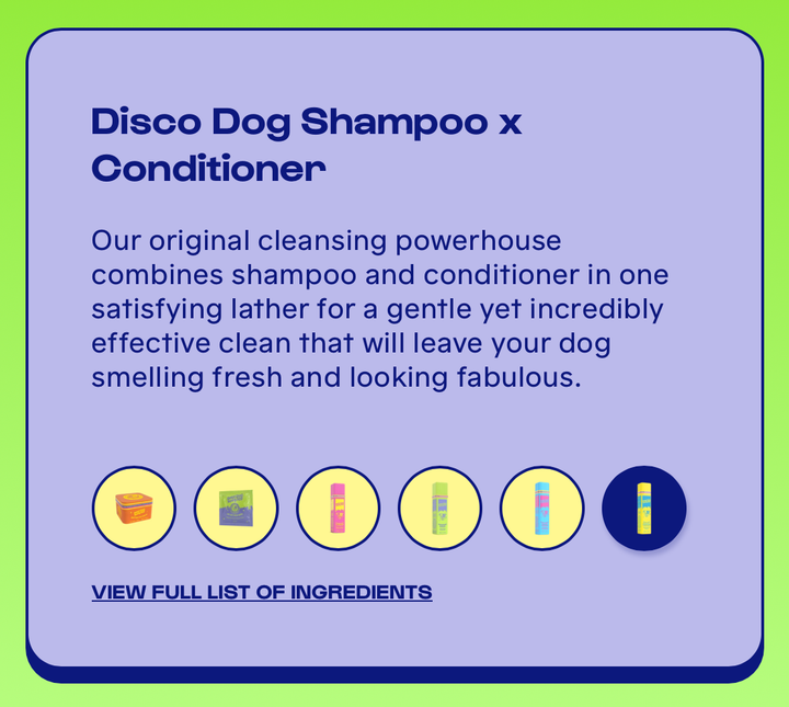 DIRTY DOG BEAUTY CLUB - STARTER PACK (1 time purchase)