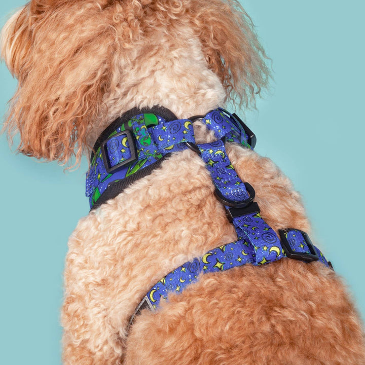 Big and Little Dogs - ADJUSTABLE DOG HARNESS: Alien Invasion