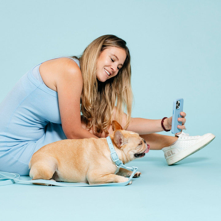 Frenchie - Frenchie Waterproof Collar - Ocean Blue: L