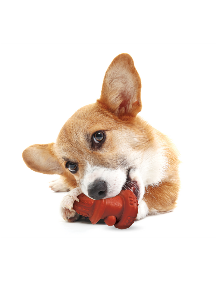 Spunky Pup - Double Wall Hydrant - Made in the USA: Large