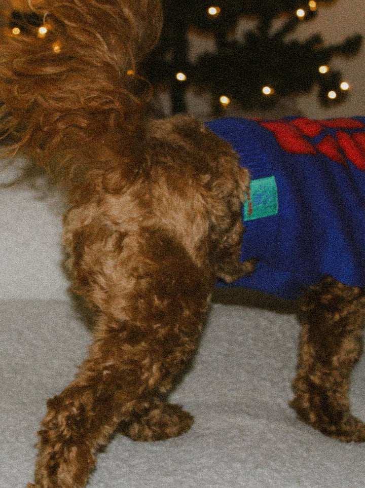 Good Thomas - 'Tis Slay Szn Sweater: Dog / S (11-16lb dog)