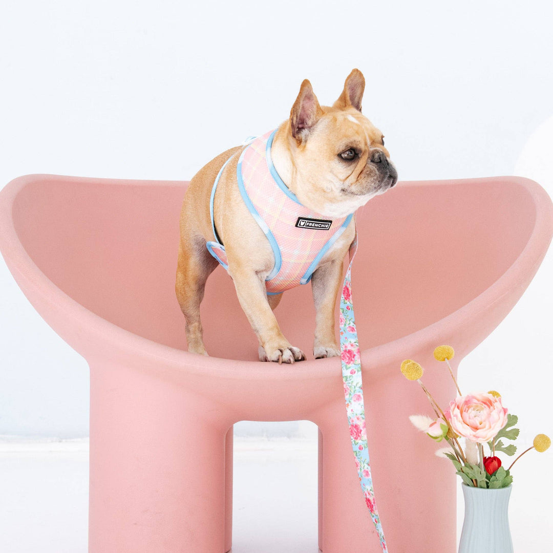 Frenchie - Frenchie Duo Reversible Harness - Secret Garden: XS