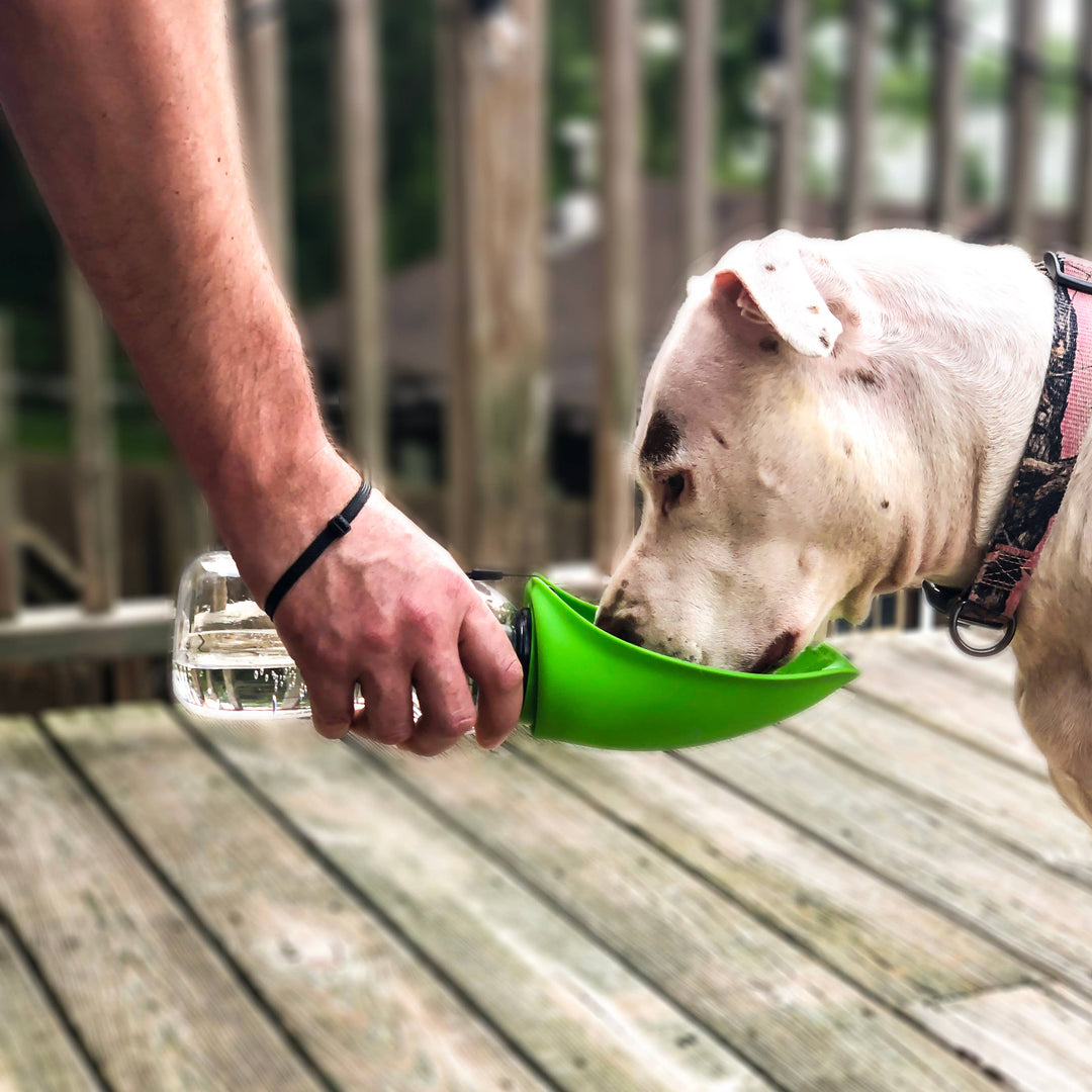 Flipo Group, Ltd. - Fold-A-Bowl Portable Pet Water Bottle & Bowl: Green