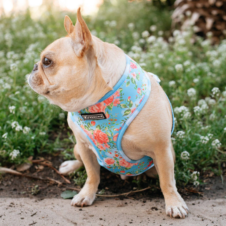 Frenchie - Frenchie Duo Reversible Harness - Secret Garden: M