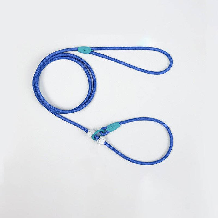 Cheerhunting - Loofie - Lightweight Nylon Dog Leash: Blue