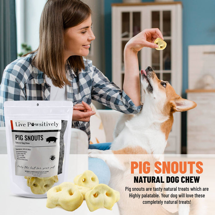 Live Pawsitive - Pig Snout 4 Pack - Natural dog chew 