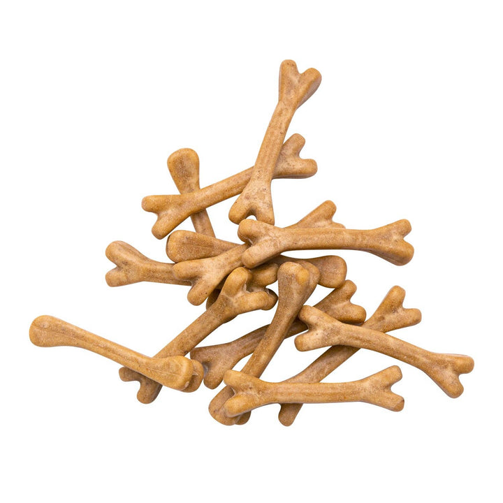 Health Extension Pet Care - Cheese Flavor Dental Bones: 3-pack