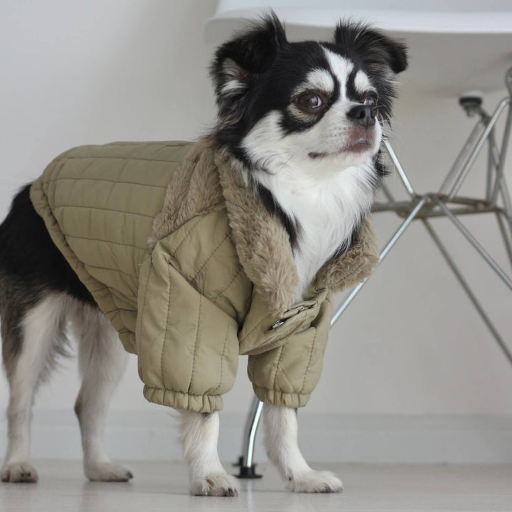 Lambwolf Collective - SOHO//DOG CLOTHING//APPAREL: Dunes / XL
