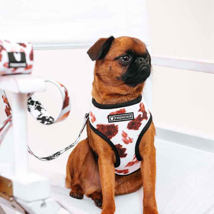 Frenchie - Frenchie Duo Reversible Harness - Moo: M