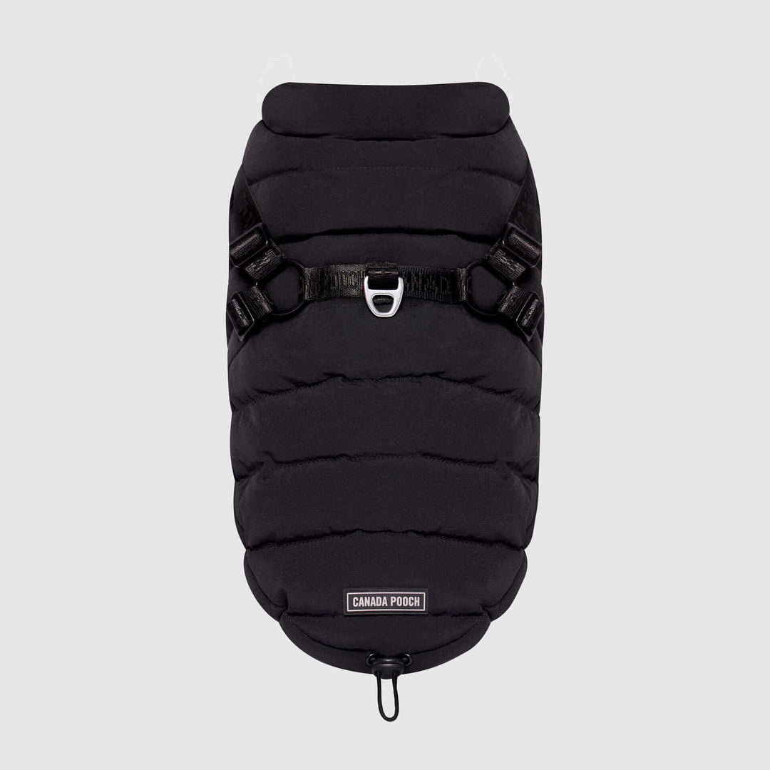 Canada Pooch - Harness Puffer Red