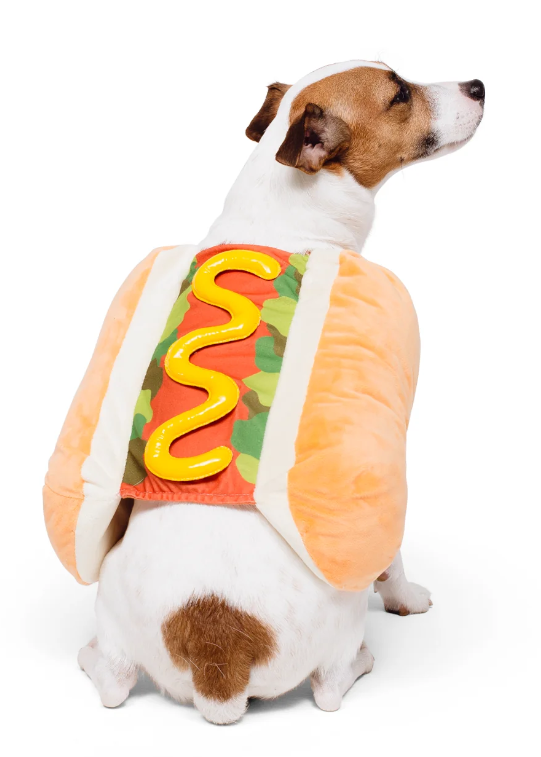 Show & Tail - Pet Apparel - The Frankfurter: L
