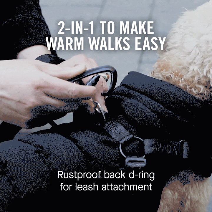 Canada Pooch - Harness Puffer Red