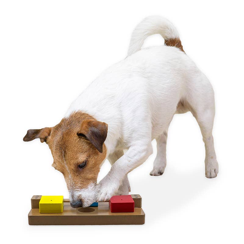 Flipo Group, Ltd. - Brainiac Flip-Flop-Fido™ Treat Dispensing Pet Toy