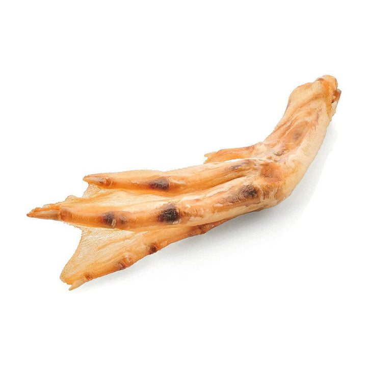 Wonder Petz - Duck Feet