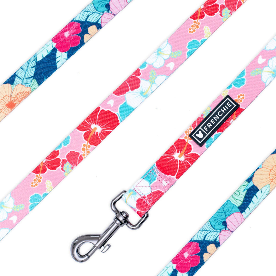 Frenchie - Frenchie Comfort Leash - Paradise: OS