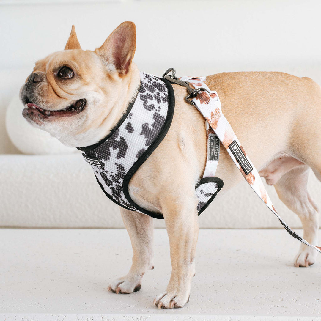 Frenchie - Frenchie Duo Reversible Harness - Moo: M