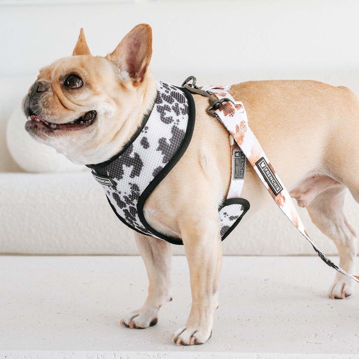 Frenchie - Frenchie Duo Reversible Harness - Moo: M