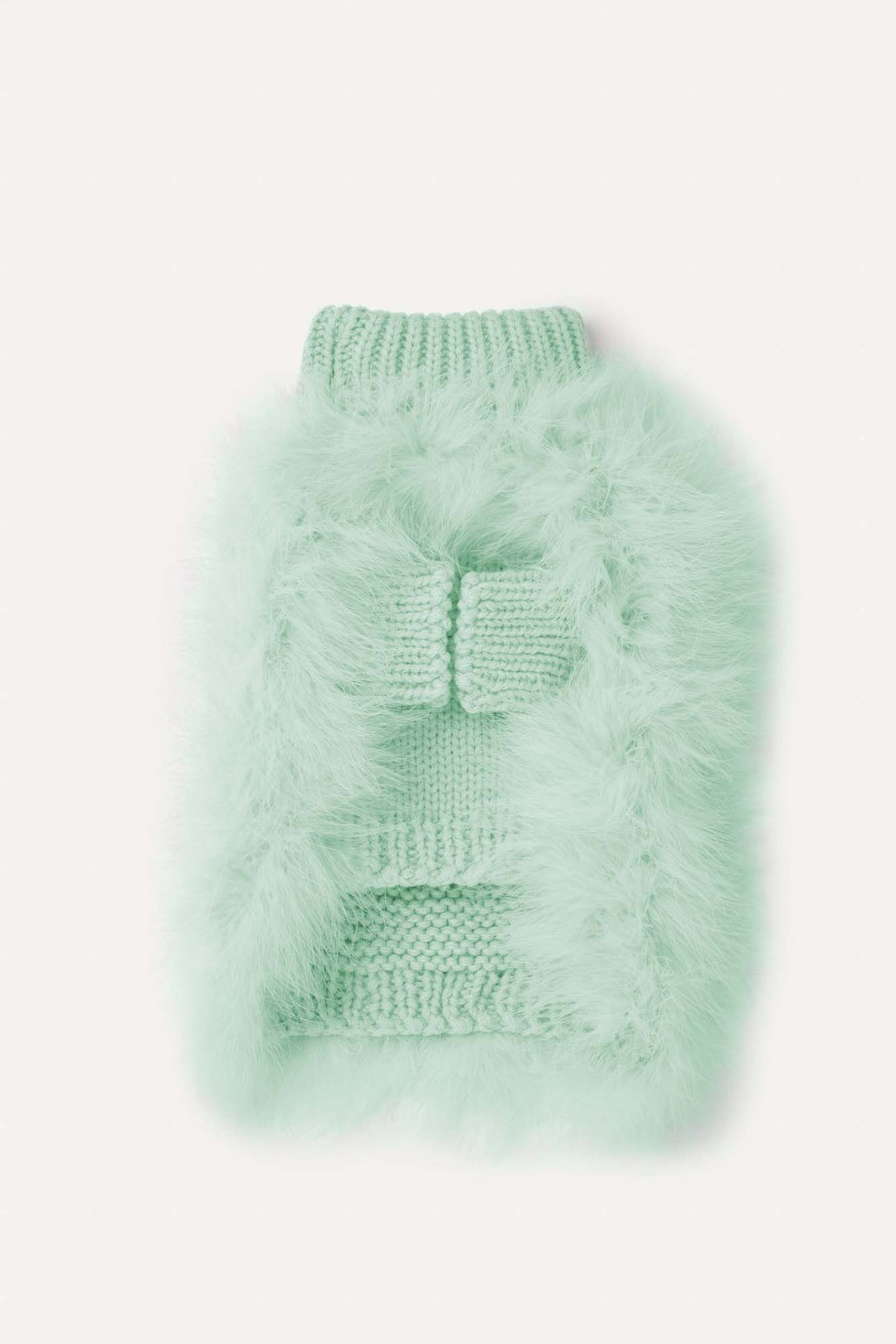 maxbone - Christian Cowan x maxbone Jumper for Dogs: Medium / Light Blue