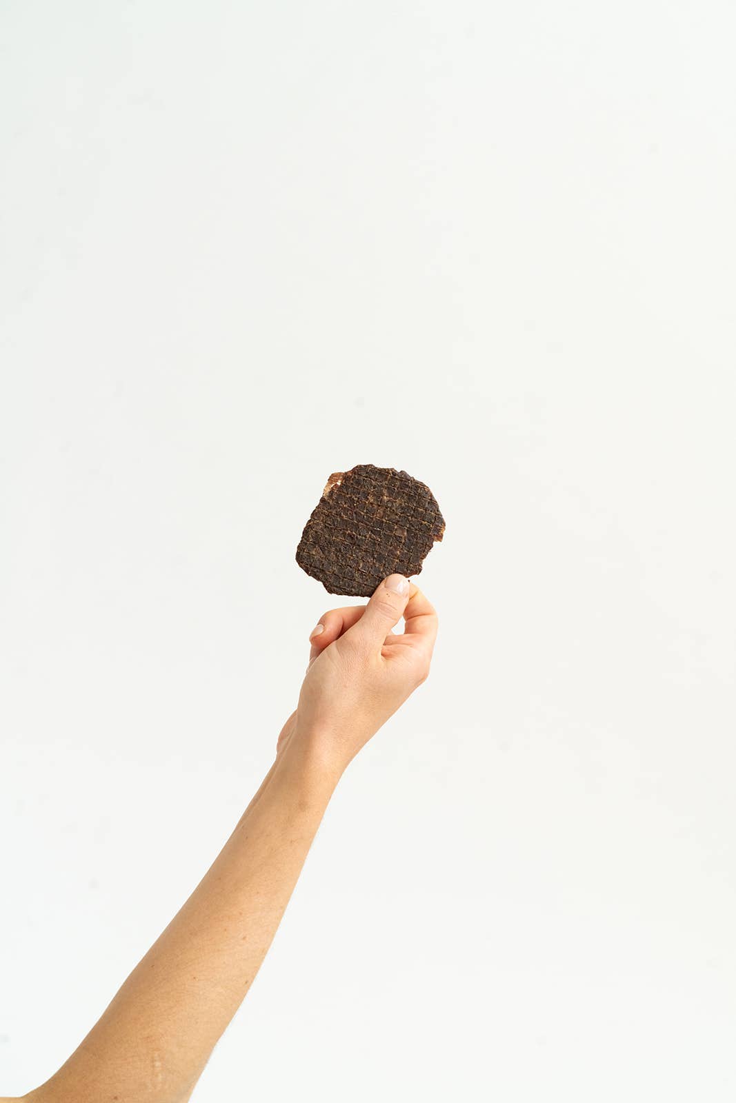 Winnie Lou - The Canine Co. - Bison Burger Jerky
