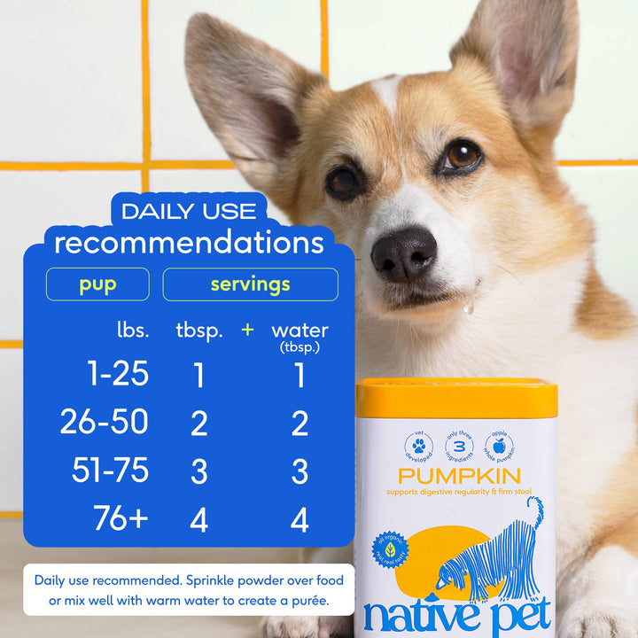 Native Pet - Organic Pumpkin Fiber Powder, Digestive Supplement for Dogs: 8 oz
