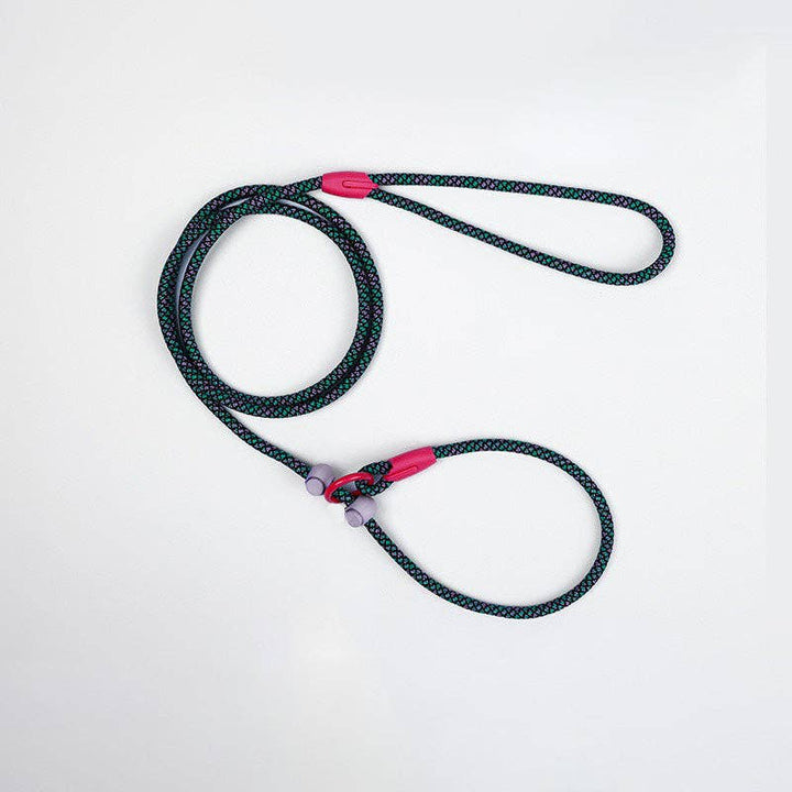 Cheerhunting - Loofie - Lightweight Nylon Dog Leash: Blue