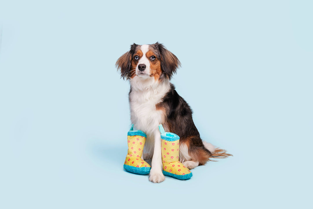 Pet Palette Distribution - BARK Smelly Wellies