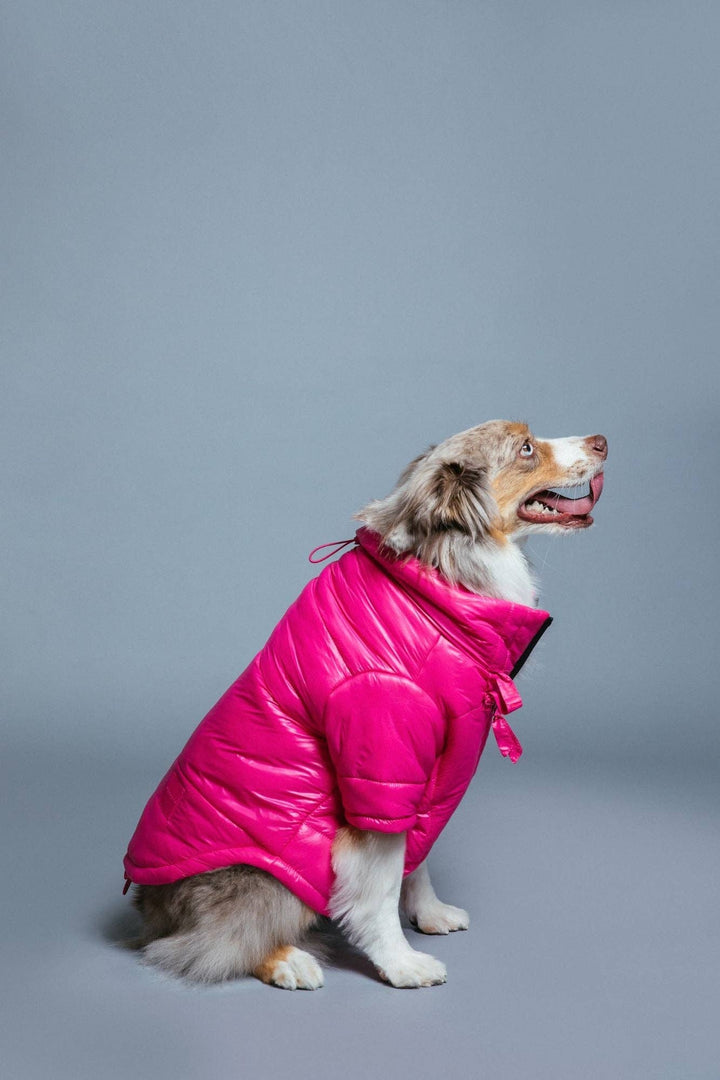 maxbone - Glossy Puffer Jacket: Teal / Small