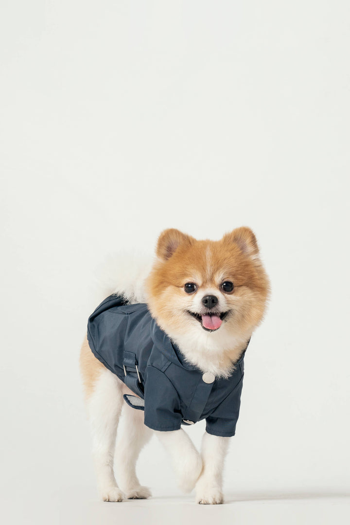 PEHOM - Raincoat - Blue: XL